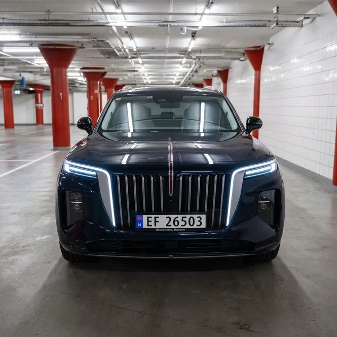 Hongqi E-HS9